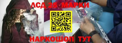 амф Владимир