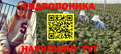 дурь Владивосток