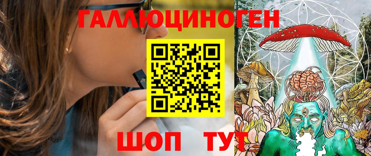 Бор  Псилоцибиновые грибы прущие грибы  Вход с VPN 
